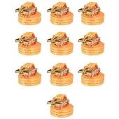vidaXL Sangle d’arrimage à cliquet 10 pcs 1 tonne 6 m x 38 mm Orange142661