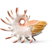 Collecta Figurine - Cooperoceras - (Xl) - Prehistorie - Handgeschilderd - Miniatuur