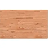 vidaXL Wastafelblad 100x60x2,5 cm massief beukenhout