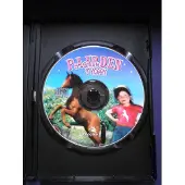 Paarden Tycoon - Windows