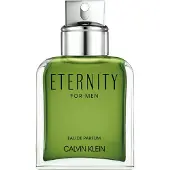 Calvin Klein Eternity Men Eau de Parfum 100 ml