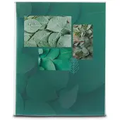 Hama Inschuif album - Singo II - 10x15 - 80 pagina's - Leaves