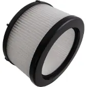 Rowenta X-Force Flex 9.60 / ZR009012 na-motor filter (1 stuk, origineel)