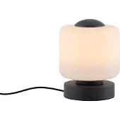 Paul Neuhaus LED-tafellamp Bota, dimbaar, zwart, Woon-/ Eetkamer, metaal, Modern, LED tafellamp