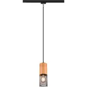 TRIO Hanglamp Tosh Voor Railverlichting
