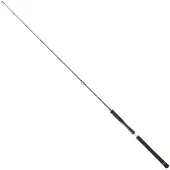 Daiwa Legalis Light Jigging Rod Zilver 1.91 m / 120 g