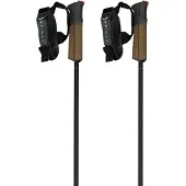 Fischer Gt 11 Carbon Mag Stokken