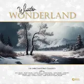 Coast2Coast Various Artists - Winter Wonderland: 14 Christmastime Classics (LP) (Coloured Vinyl)