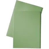 Esselte inlegmap van dossierkarton met 10 mm overslag folio groen (100 stuks)