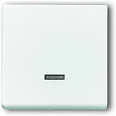 Busch-Jaeger BUSCH JAEGER 6543-84-101 - Wit - - 63 mm - 63 mm - 1 stuk