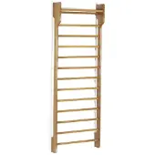 Toorx Single Wallbar - Wandrek