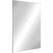 Delabie wandspiegel roestvaststaal (RVS) (hxb) 980x595mm rechthoekig