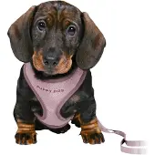 Trixie junior puppytuig soft met riem lila - 26-34x1 cm/2 mtr