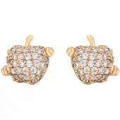 NAEMI Oorbellen goud / transparant