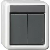 Gira Taster, 2-voudig, 2-polig, model WG 516230 AP, grijs