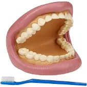 TickiT Giant Teeth Dental Kit