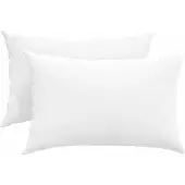 vidaXL Zitkussens 2 st Stof Wit 60 x 40 cm