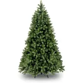 Van Der Gucht National Tree Company 31HPEBY50 Bayberry - 152 cm