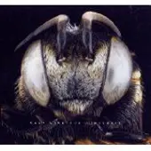 OUTHERE Kaly Live Dub - Allaxis (2 LP) (Coloured Vinyl)