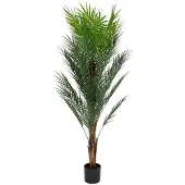 Homla - Artificial Plant - TROPICAL ZONE - Palm Tree - 150 cm