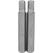 Richmann Inbus Bit H6x75mm S2 Staal - 1 Stuk