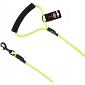 PET NOVA Nylon Hondenlijn Lichtgroen S - 120cm