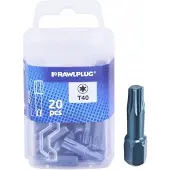 Rawlplug Torx T40 Bits 25mm 20 Stuks - Hoge Kwaliteit