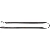 Dingo Leren Hondenhalsband - Zwart, 1cm x 120cm, Geniet met Klinknagels