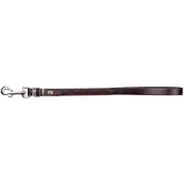 Dingo Korte Leren Hondenriem 2x70 cm Bruin