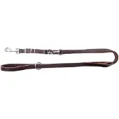 Dingo Verstelbare Leren Hondensnoer 1,5x220cm Bruin
