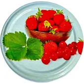 Tragar 20x metalen weckpotdeksels 66mm met fruitmotief, 4 knoppen