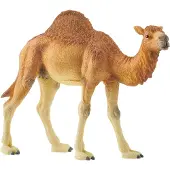 Schleich - Wild Life - Dromedary (14832)