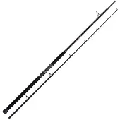 Shimano Fishing Beastmaster Ax Multi Catfish Rod Zilver 2.30 m / 200 g