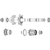 Zipp Zm2 Freehub Body