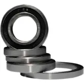 BLACK BEARING Ceramic Lagers