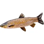 Gaby The Grass Carp Giant Pillow Geel