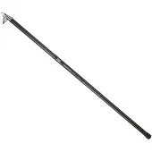 Daiwa Procaster Big Pike Bolognese Rod Zilver 6.00 m