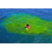 PLASTIMO Marker 80g Groen