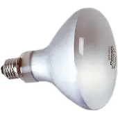 Kaiser Reflector 500w Gloeilamp