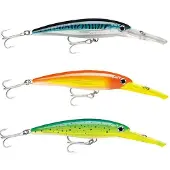 Rapala X-rap Magnum Minnow 32g 120 Mm Veelkleurig