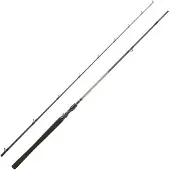 Daiwa Exceler Baitcasting Rod 2 Sections Zilver 2.29 m / 60-120 g