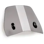Puig Trafic Sym Symphony 125 Cbs E5 2025 Voorruit
