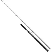 Shimano Fishing Beastmaster Ax Static Catfish Rod Zilver 3.00 m / 400 g