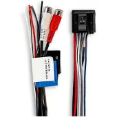 Fusion Apollo Zone Amplifier Wiring Loom Zwart