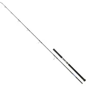 Daiwa Saltiga Tuna Bottom Shipping Rod Zilver 2.52 m / 50-100 g