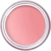 Bobbi Brown Wangen Pot Rouge Velvet Matte 8.5 g