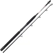 Sunset Nassau Sw Trolling Rod Zilver 1.65 m / 40 Lbs