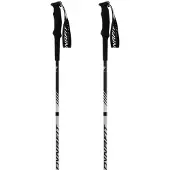 Dynafit Alpine Pro Stokken