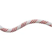 Mammut 11.0 Performance Static Touw