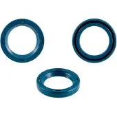 Rms Classic Piaggio Vespa Px 125-150-200cc 100663010 Krukasoliekeerringen 10 Eenheden